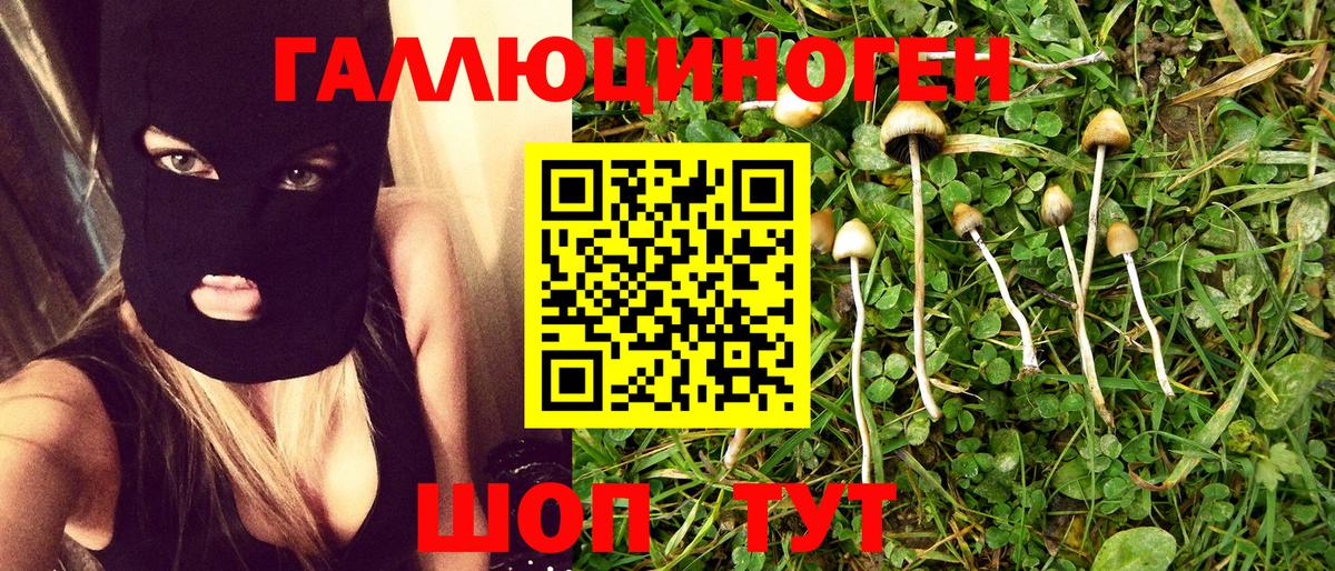 Галлюциногенные грибы Cubensis Киров