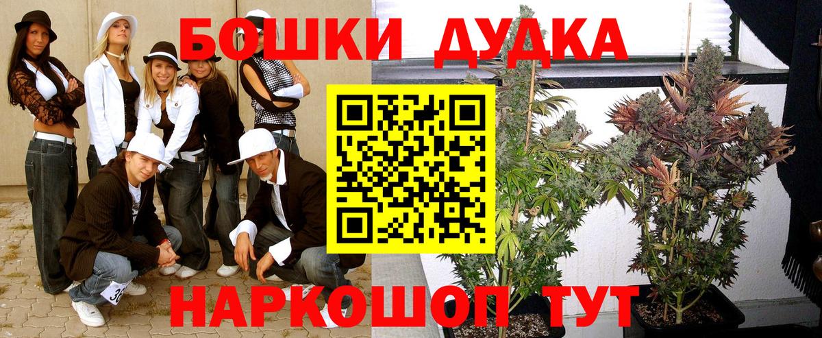 Шишки марихуана гибрид Киров